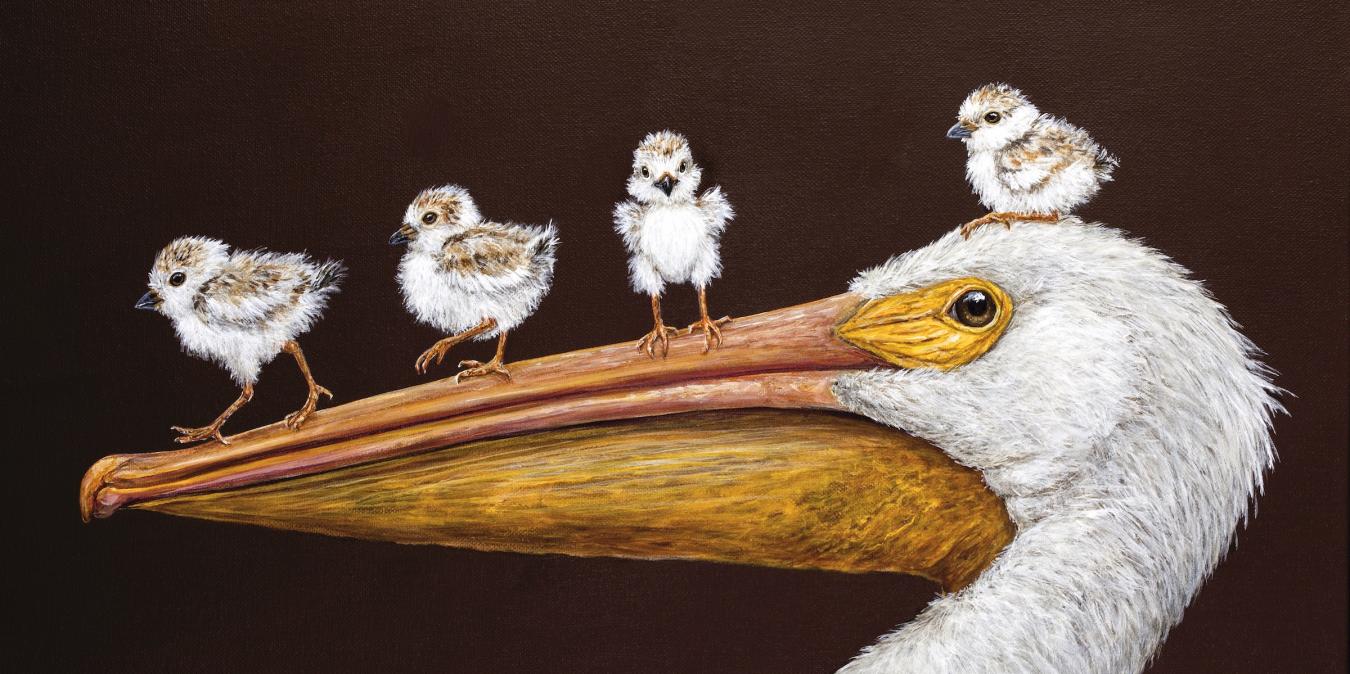 Homepage | Vicki Sawyer